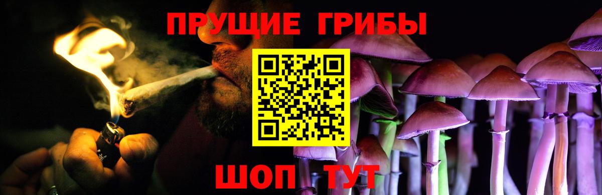 где купить наркоту  Вход с VPN  Шебекино  Галлюциногенные грибы Magic Shrooms  Галлюциногенные грибы Psilocybine cubensis 